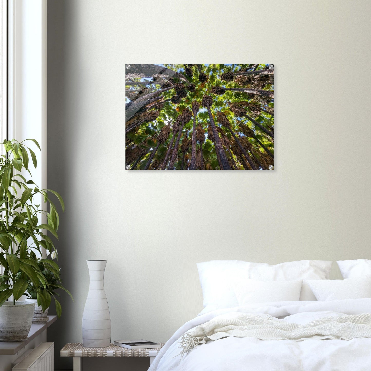 "Under the Canopy: Natural Wonder of Israel" Acrylic Print