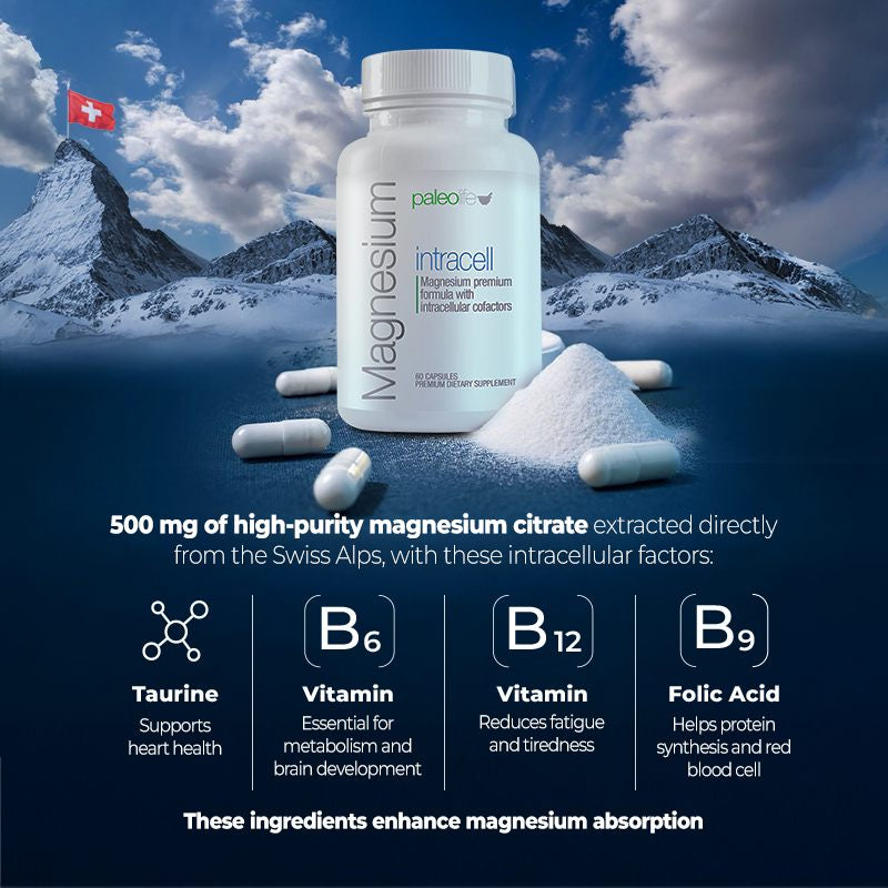 Magnesium Intracell - Premium MAGNESIUM INTRACELL from Paleolf.us - Just $29.99! Shop now at Concordia Style Boutique