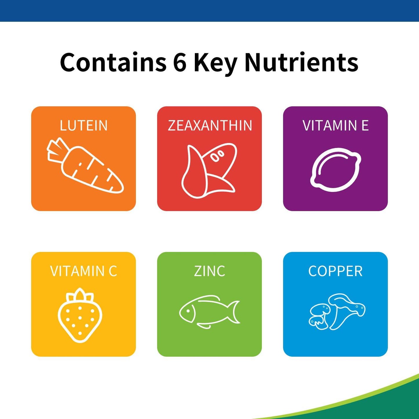 Eye Vitamin and Mineral Supplement Capsules - Lutein Tablets - Concordia Style Boutique