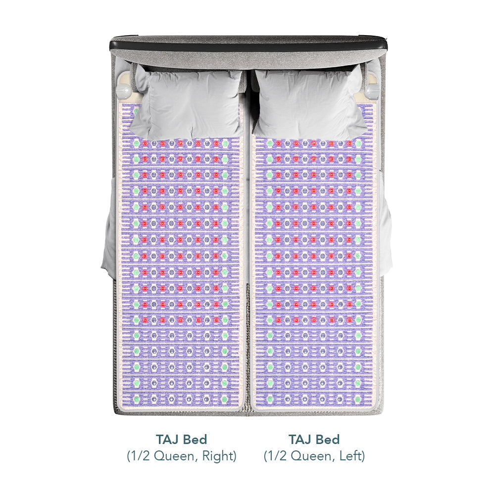 The TAJ Bed Series