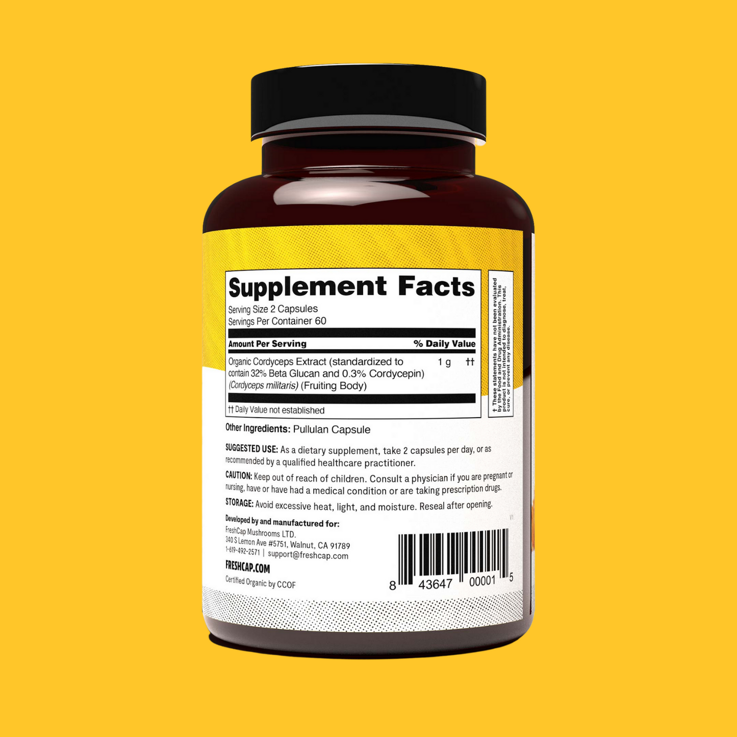 Cordyceps Mushroom Extract Capsules - Concordia Style Boutique
