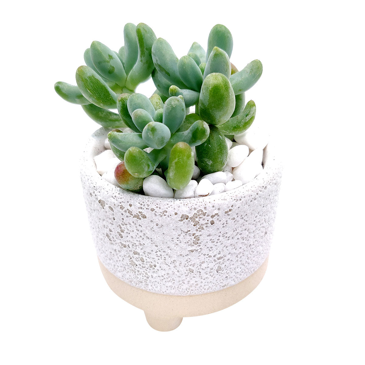 2 inch Footed Pot