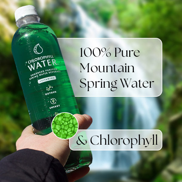 Chlorophyll Water - Purified Mountain Spring Water with Essential Vitamins (Case of 12)