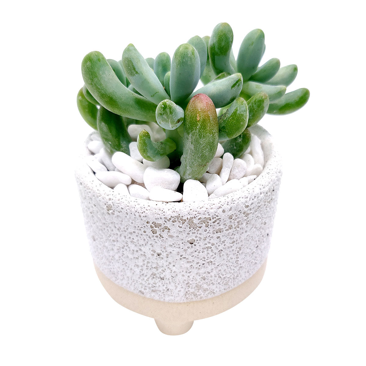 2 inch Footed Pot