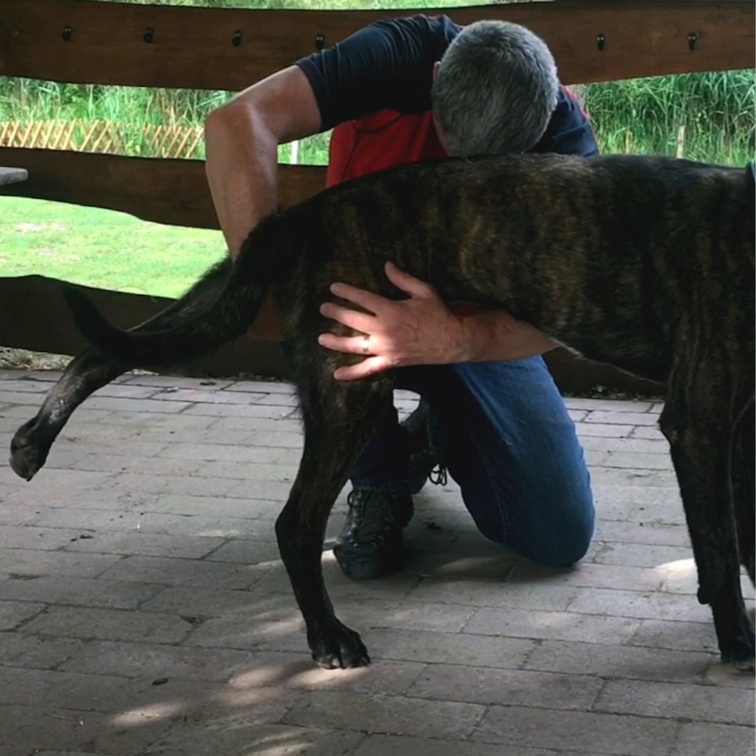 Trigger Point Therapy for Dogs (2.5 hrs) - Concordia Style Boutique