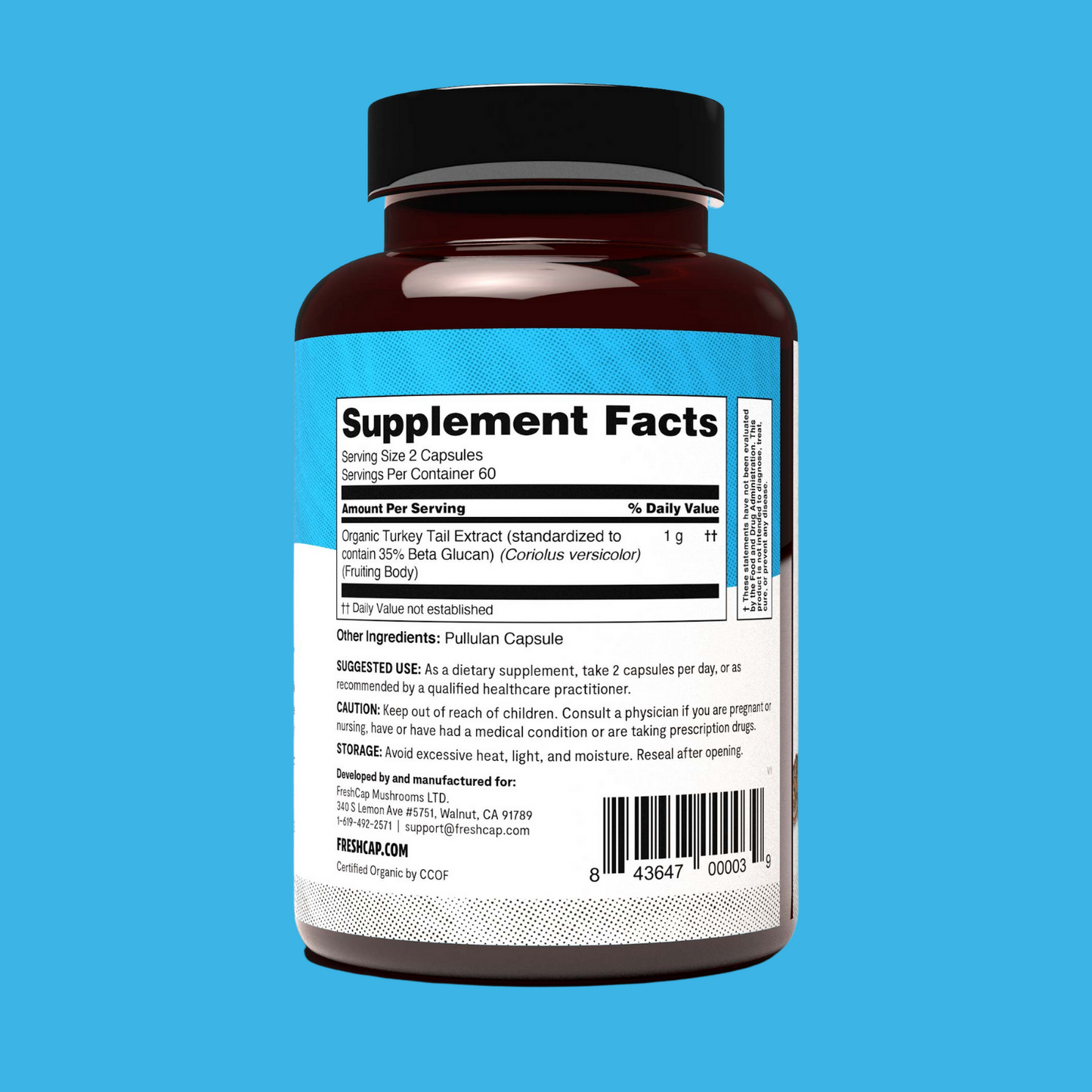 Turkey Tail Mushroom Extract Capsules - Concordia Style Boutique