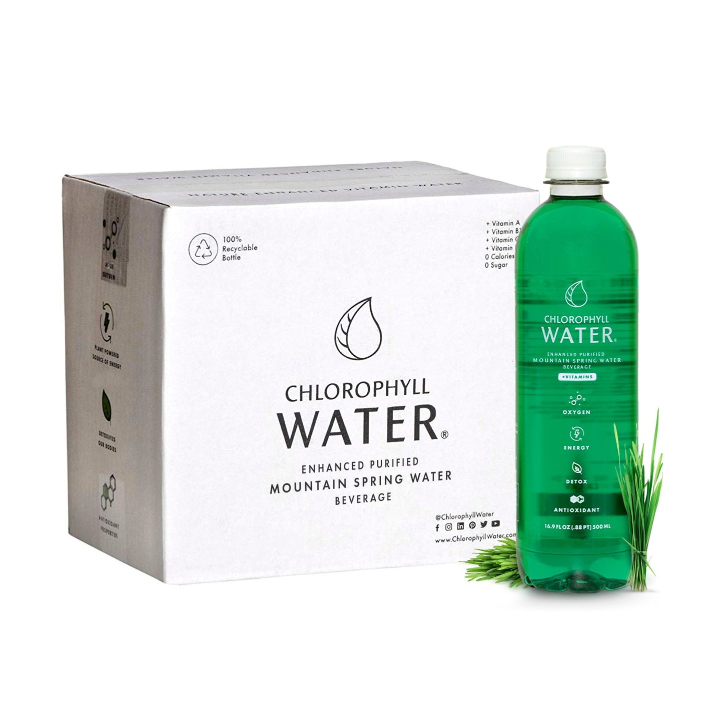 Chlorophyll Water - Purified Mountain Spring Water with Essential Vitamins