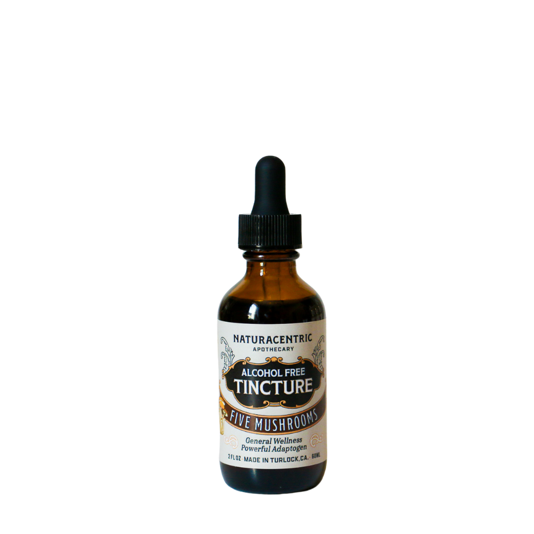 Five Mushrooms ALCOHOL FREE Tincture - Concordia Style Boutique