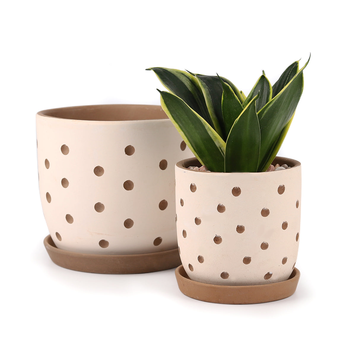 Clay White Polka Dot Pattern Pot