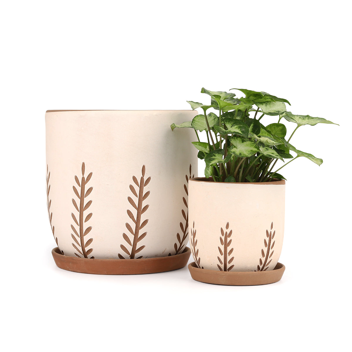Clay White Vertical Leaf Pattern Pot