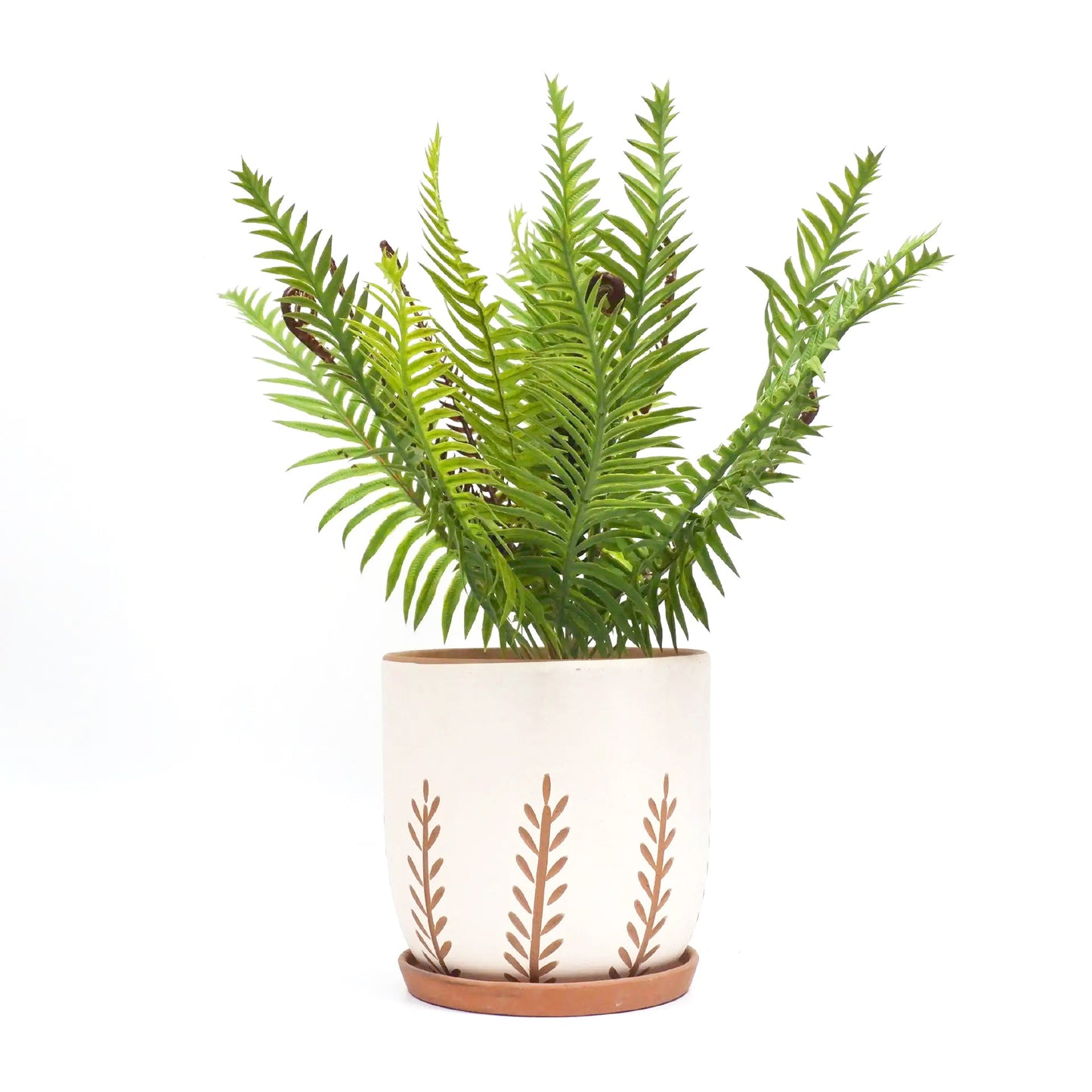 Clay White Vertical Leaf Pattern Pot