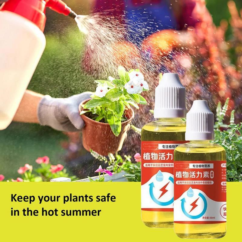 Plant Vitamins Universal Vitamins - Concordia Style Boutique
