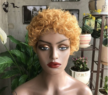 Short Curly Hair Ladies Wig - Concordia Style Boutique