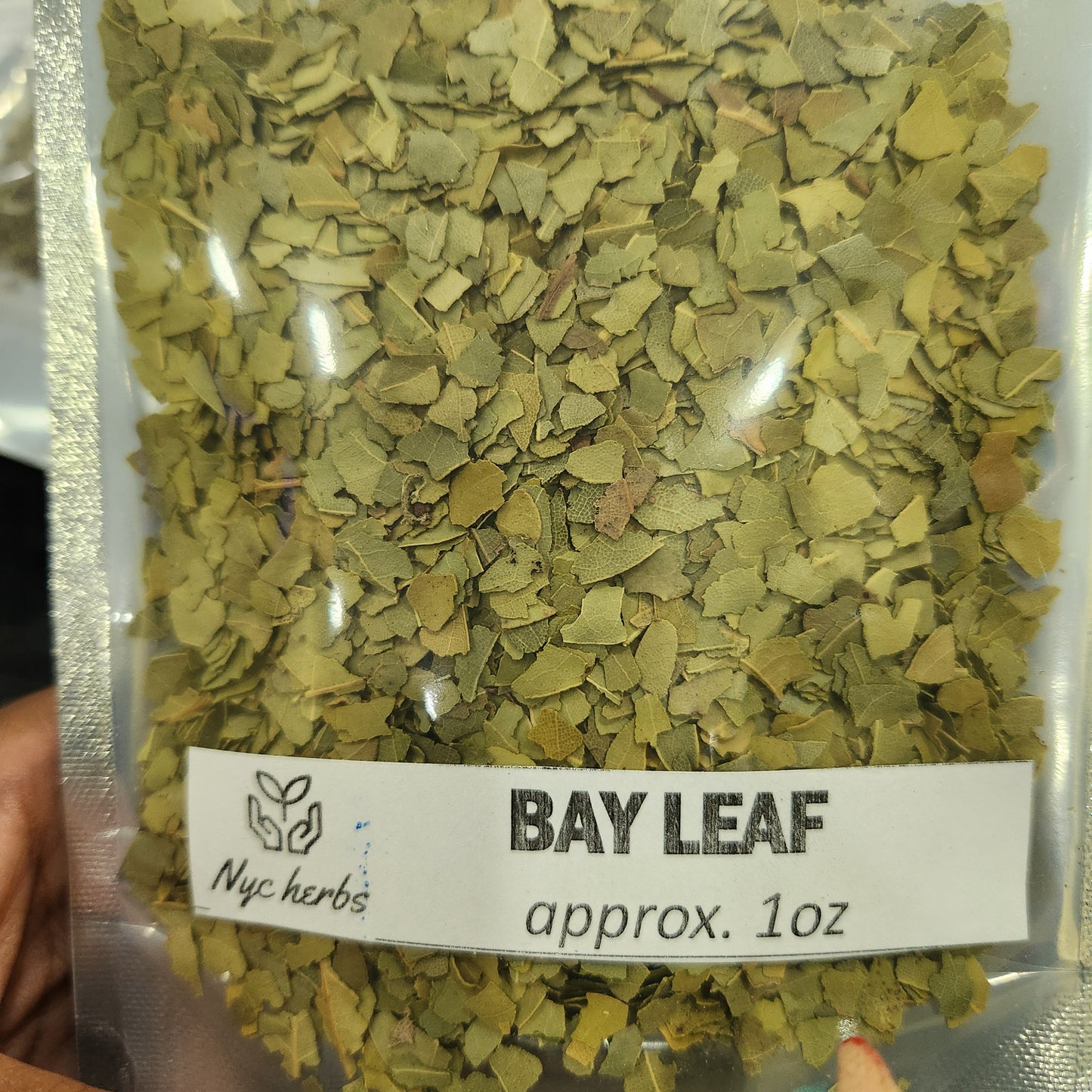 Bay Laurel Leaf | Respiratory & Digestive Support
