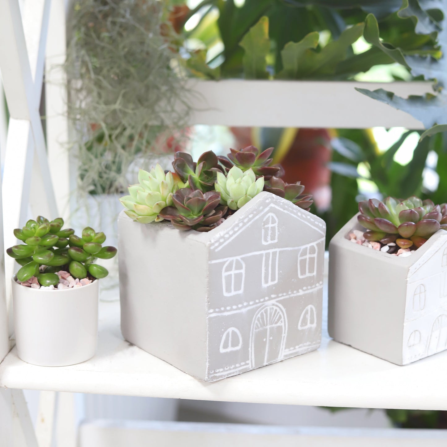 Black House Pot