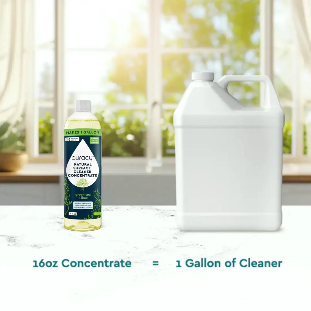 Everyday Multi-Surface Cleaner - Concordia Style Boutique