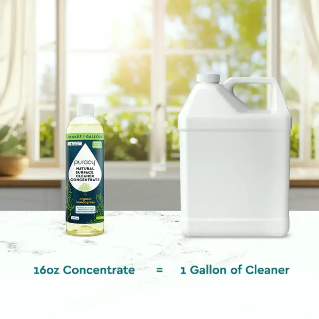 Everyday Multi-Surface Cleaner - Concordia Style Boutique