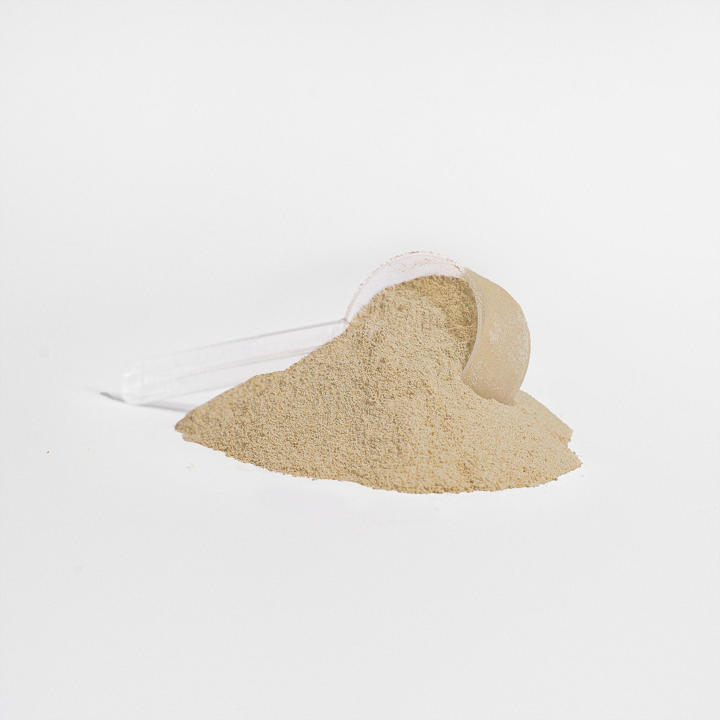 Vanilla Whey Isolate Protein Powder, 1.51 lbs - Concordia Style Boutique