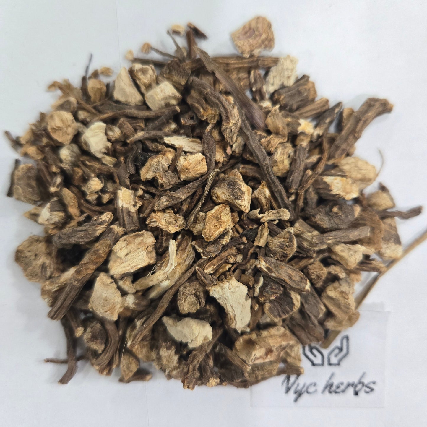 Angelica Root | Digestive Flow & Women's Balance