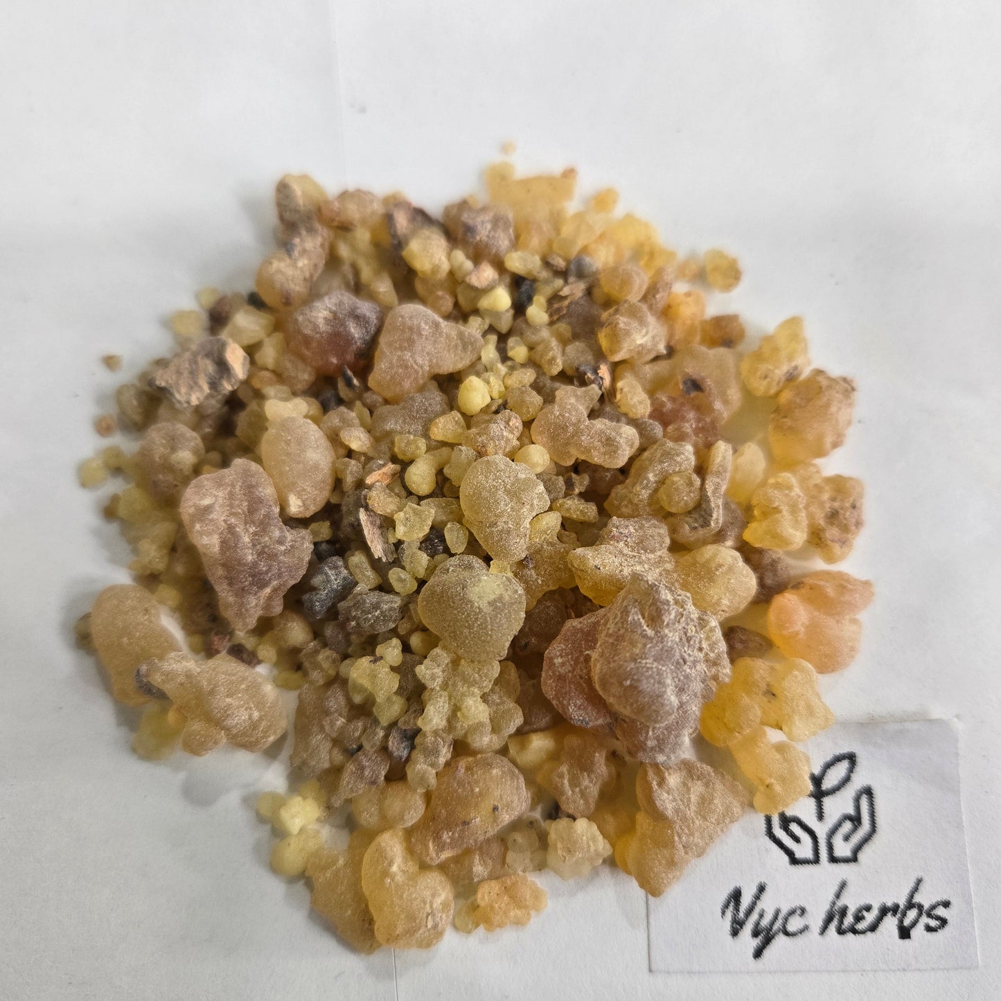 Boswellia Serrata | Joint Comfort & Inflammation Support