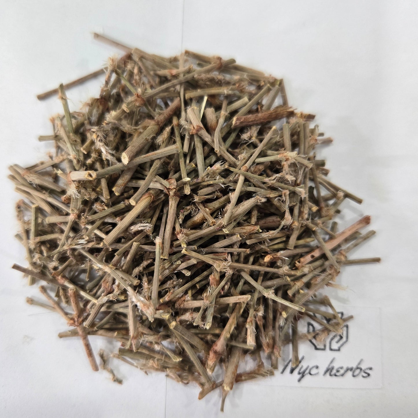 Blood Root | Traditional Skin Remedy & Topical Support