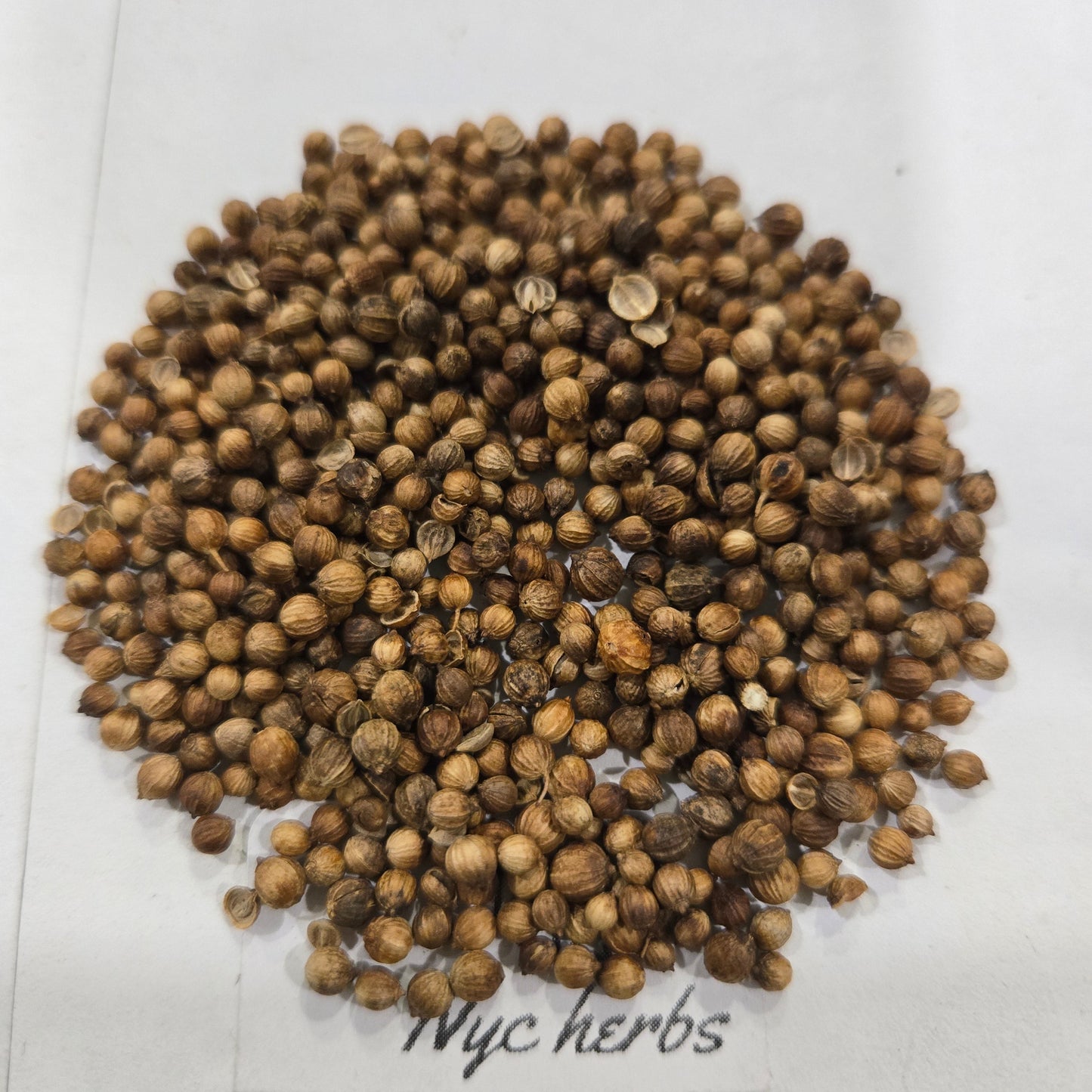 Coriander Seed | Digestive & Anti-Inflammatory Support