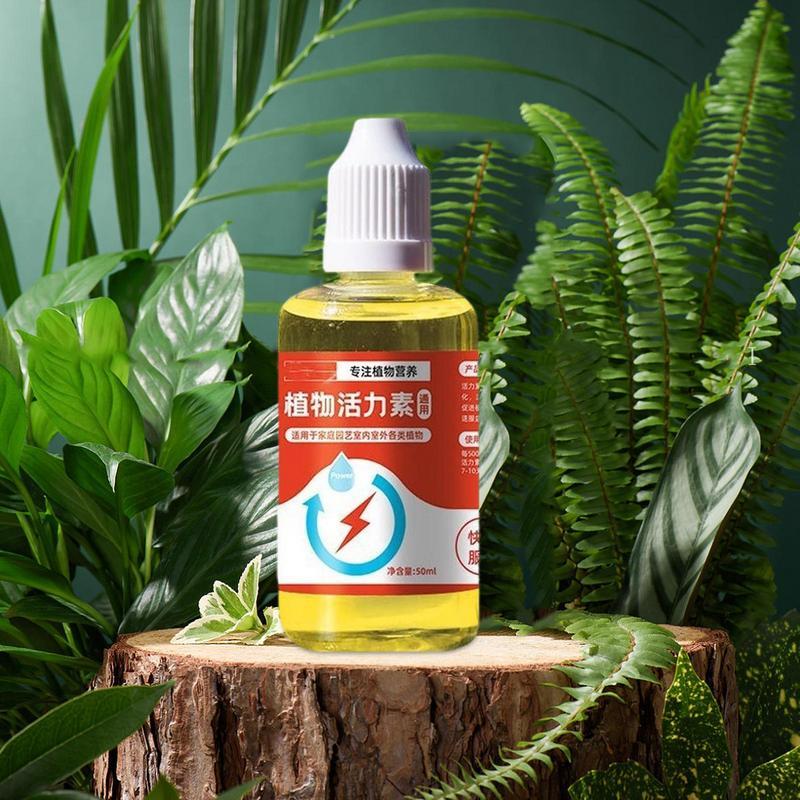 Plant Vitamins Universal Vitamins - Concordia Style Boutique