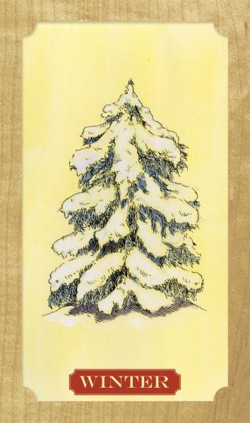 Tree of Life Oracle by Schiffer Publishing - Concordia Style Boutique