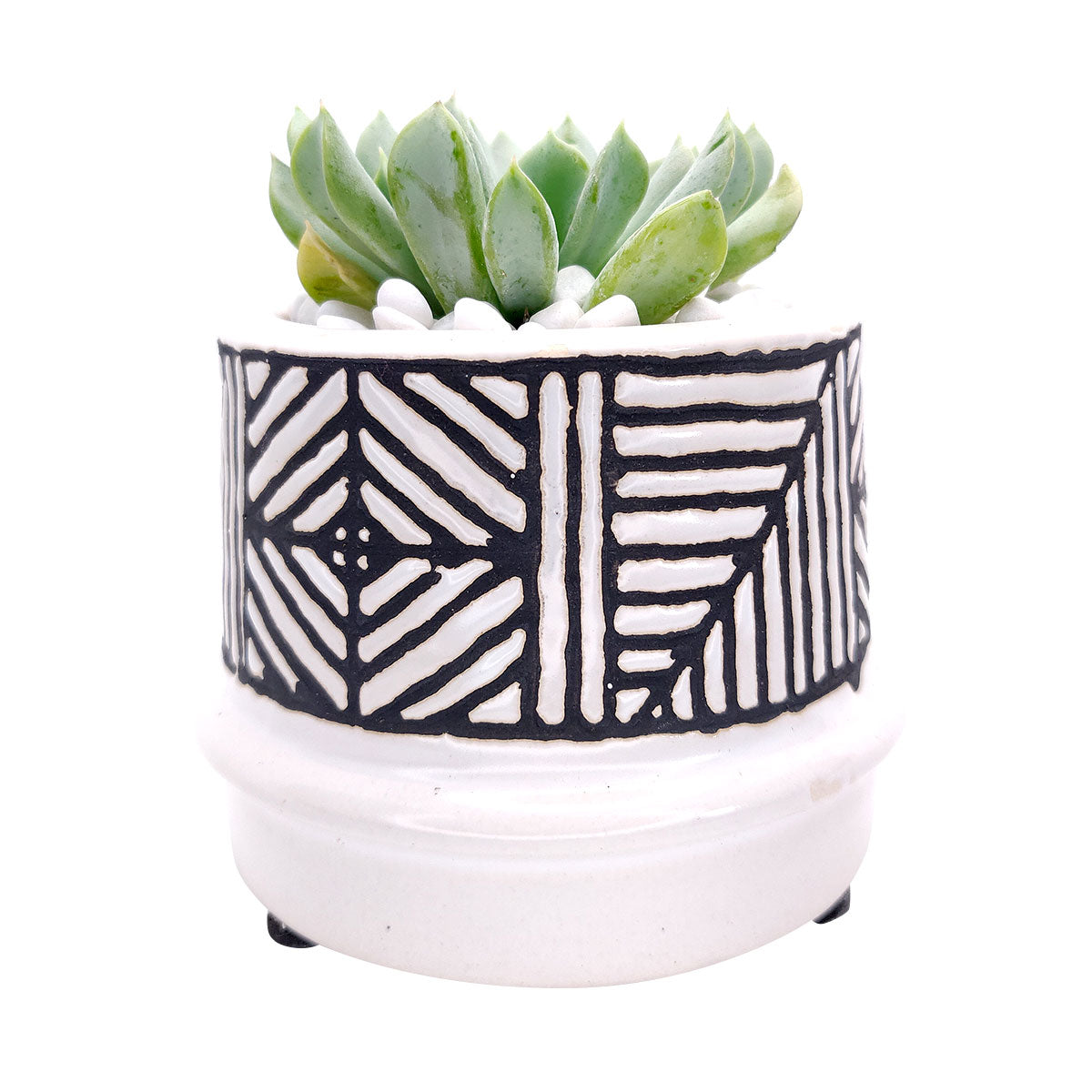 Tribal Pot