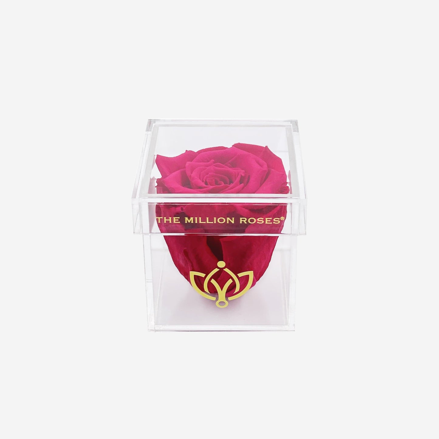 Acrylic Single Box | Hot Pink Rose