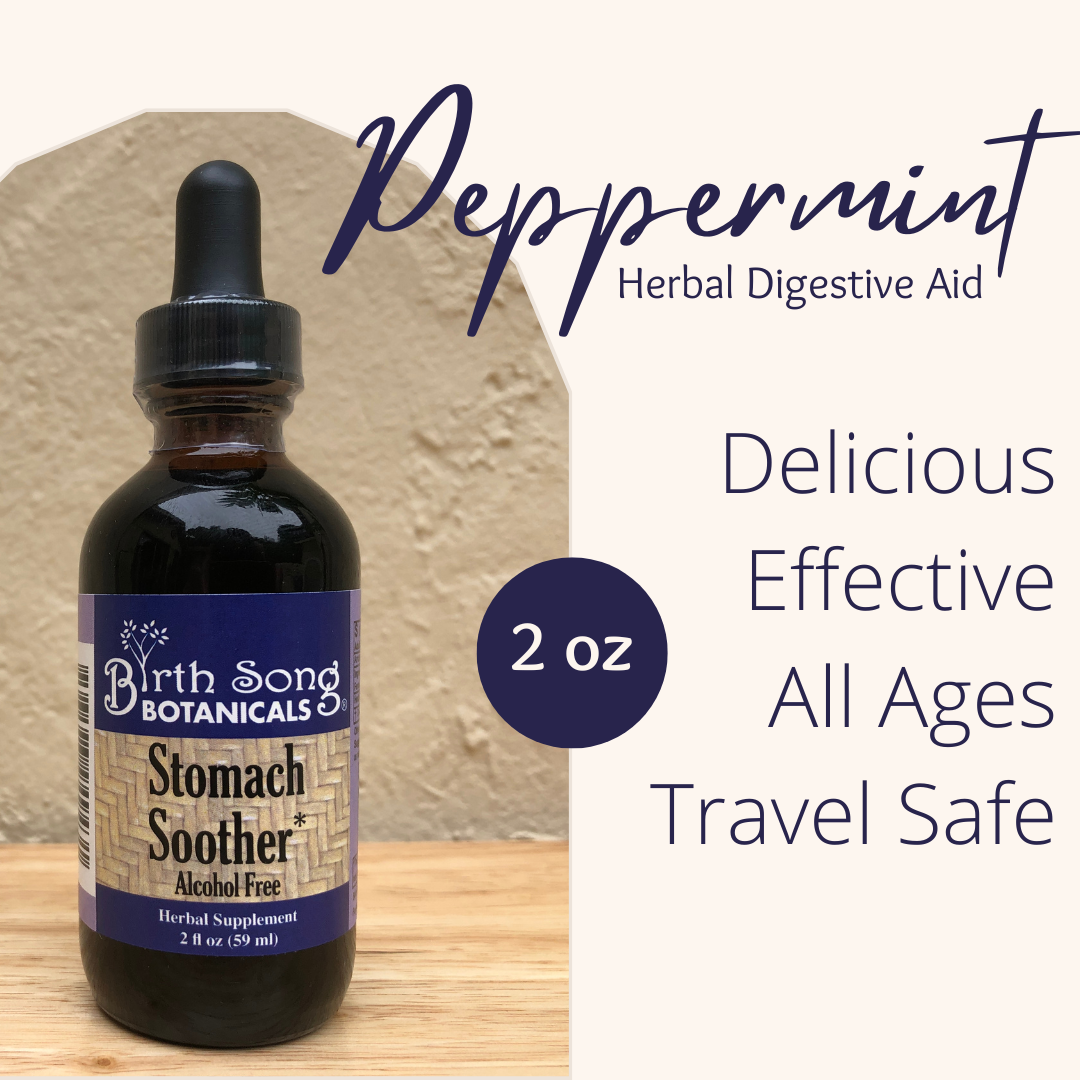 Stomach Soother Herbal Digestive Supplement Family Size 2 oz. - Concordia Style Boutique