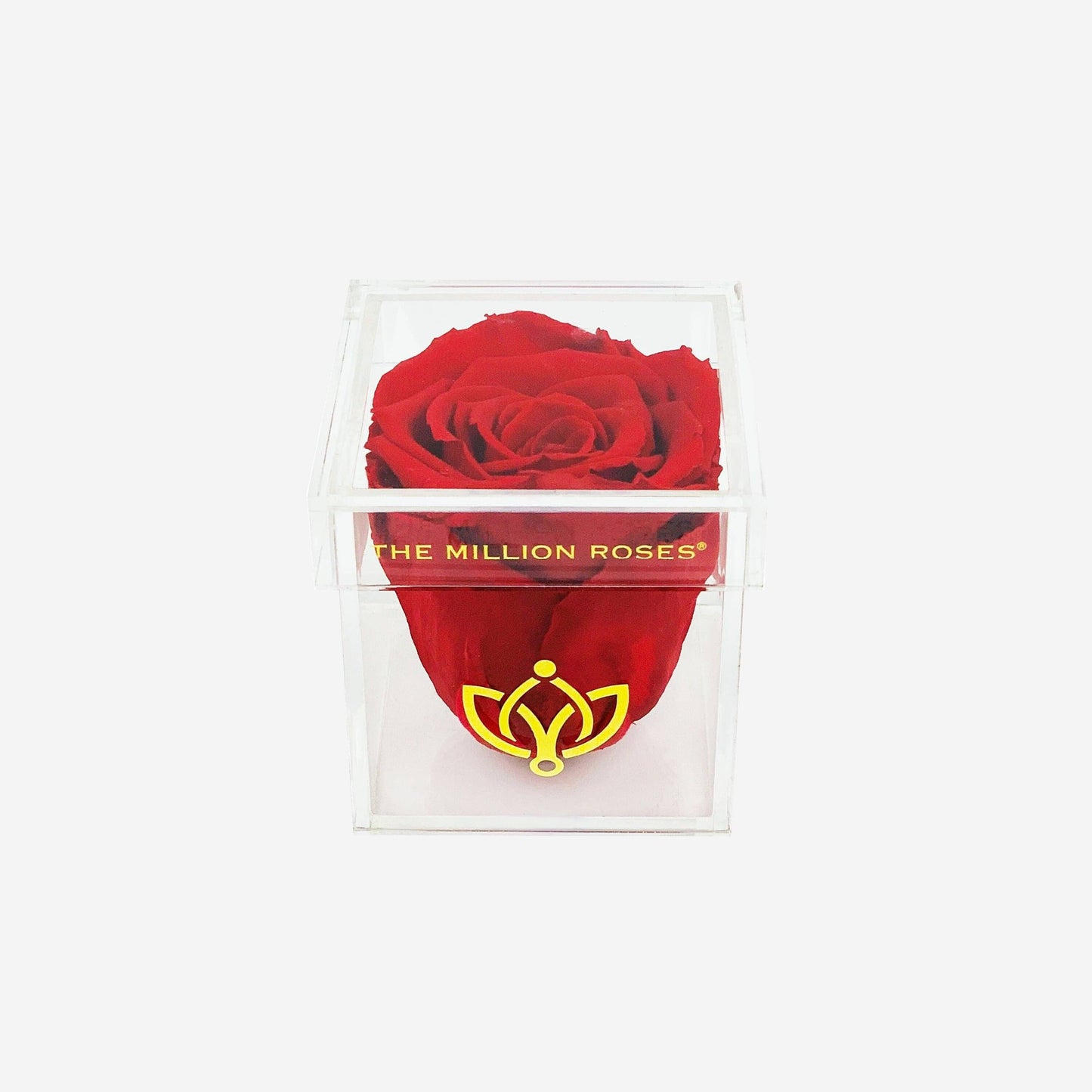 Acrylic Single Box | Red Rose