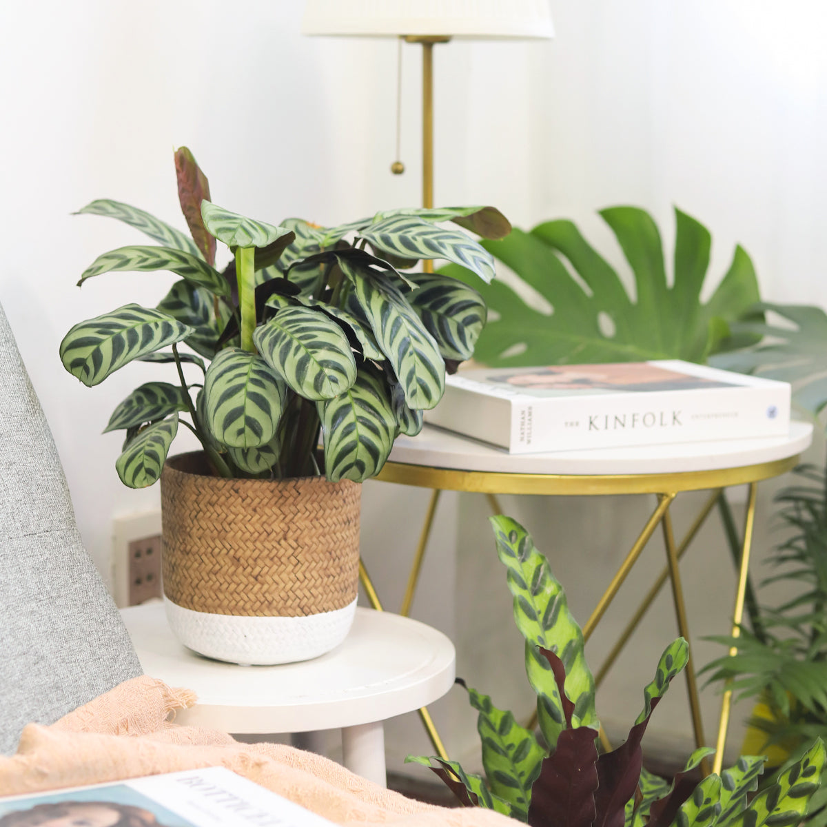 6 inch White & Nature Reed Round Cement Planter