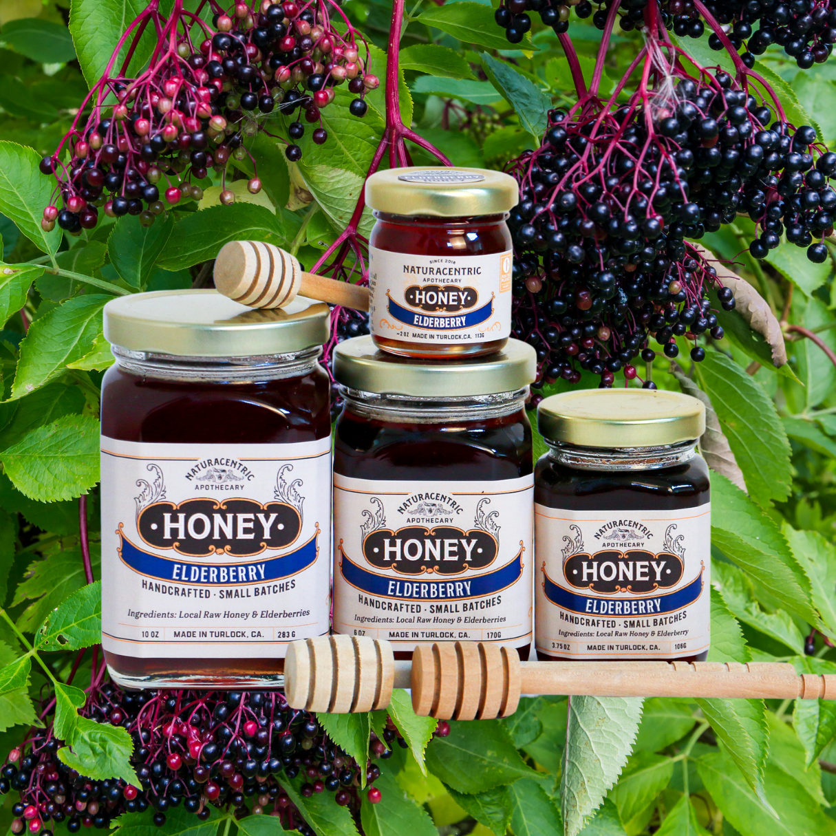 Elderberry Infused Honey - Concordia Style Boutique