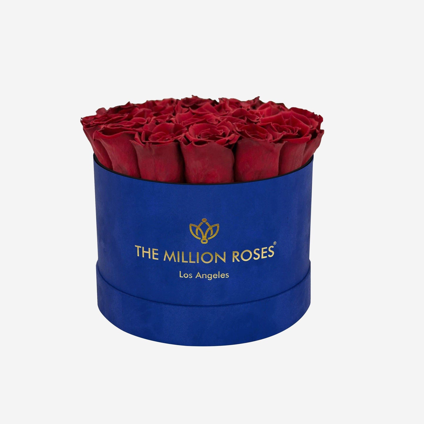 Classic Royal Blue Suede Box | Red Roses