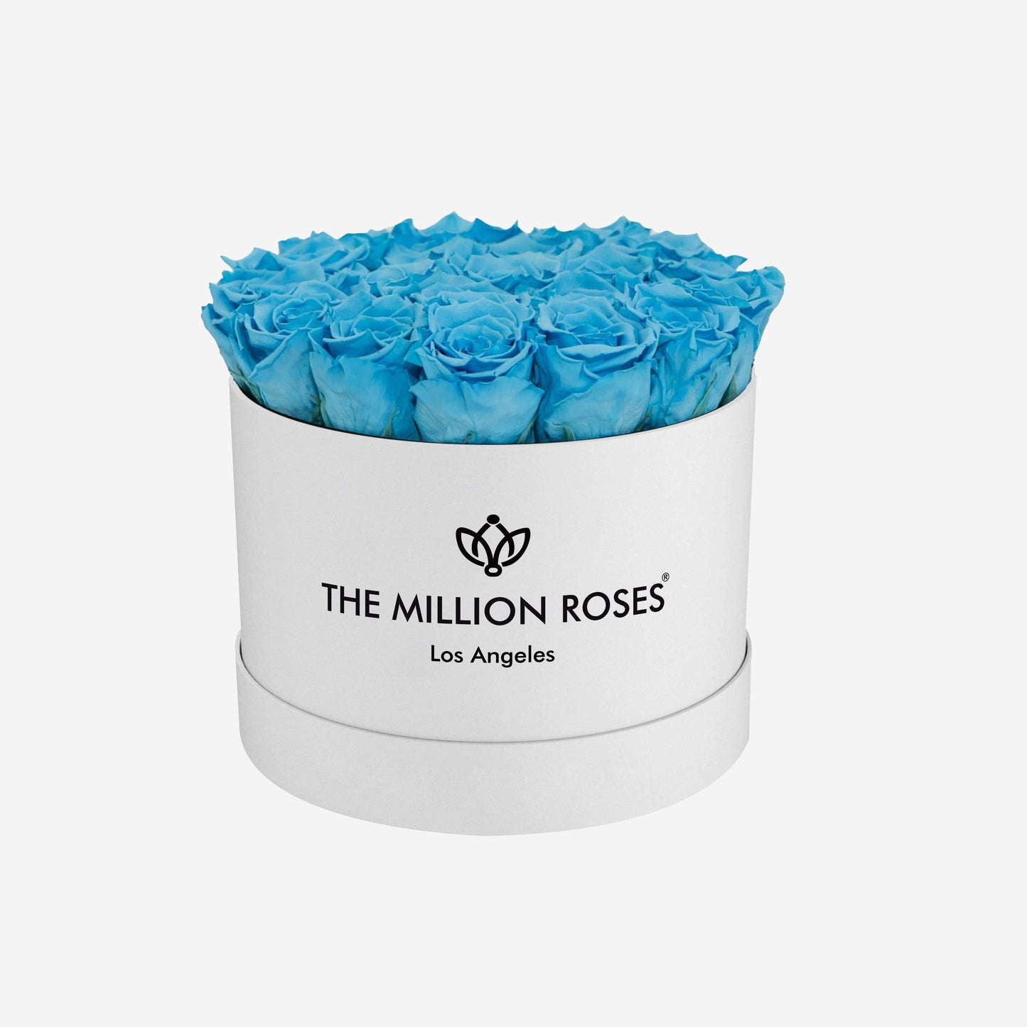 Classic White Box | Light Blue Roses