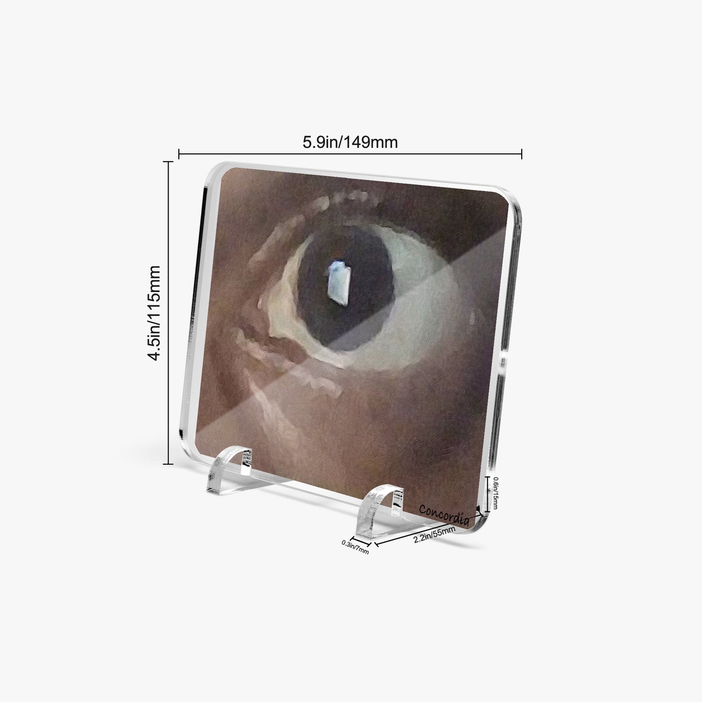 Acrylic Plaque with Stand - "I See You" - Premium Acrylic Plaque from Concordia Style Boutique - Just $12.75! Shop now at Concordia Style Boutique
