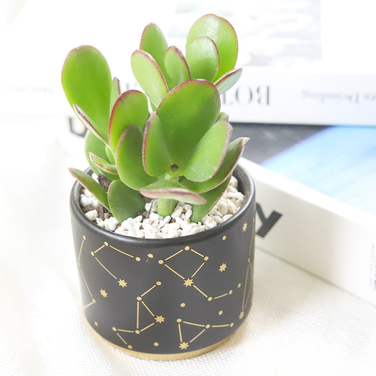 Celestial Pot