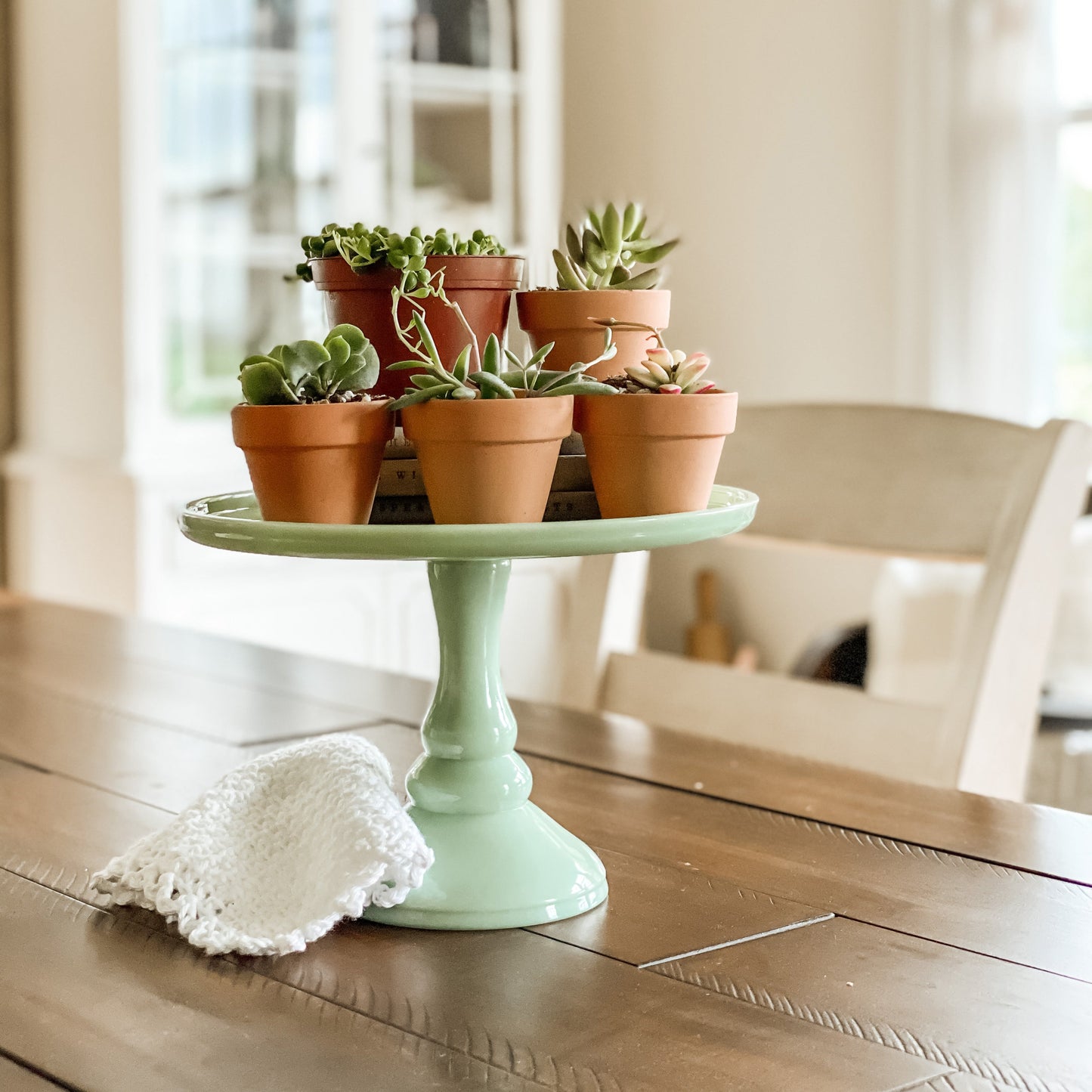 2.5'' Terracotta Pot