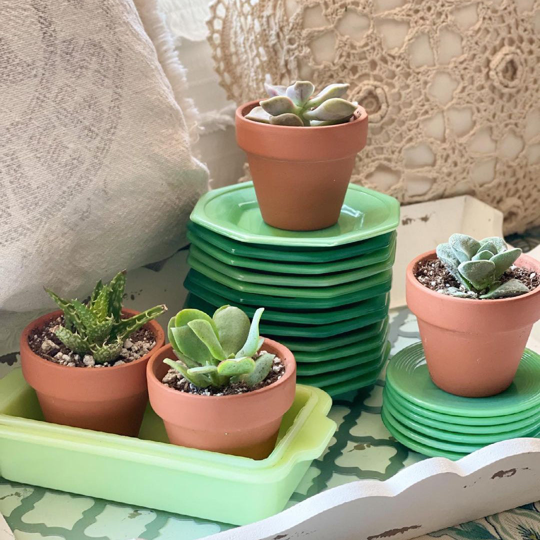 2.5'' Terracotta Pot