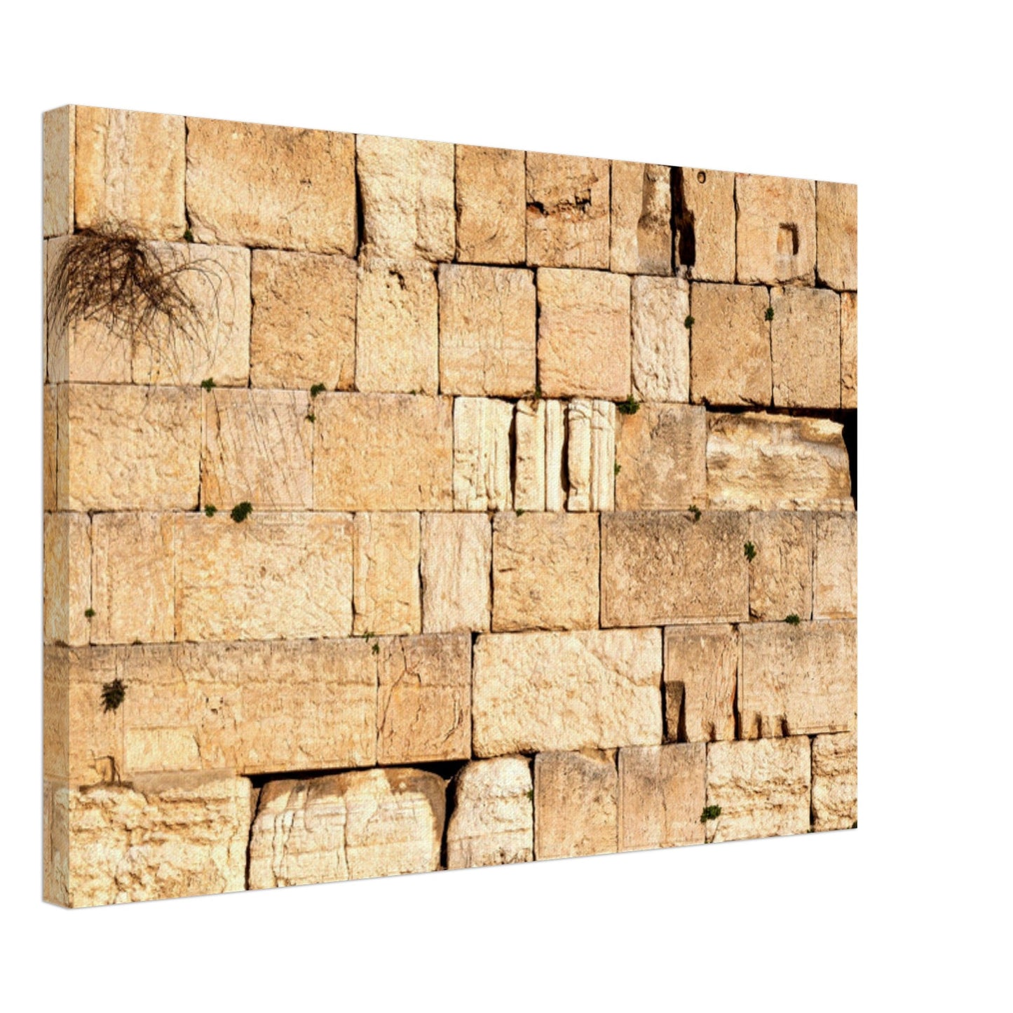 The Western Wall Brick Canvas Print