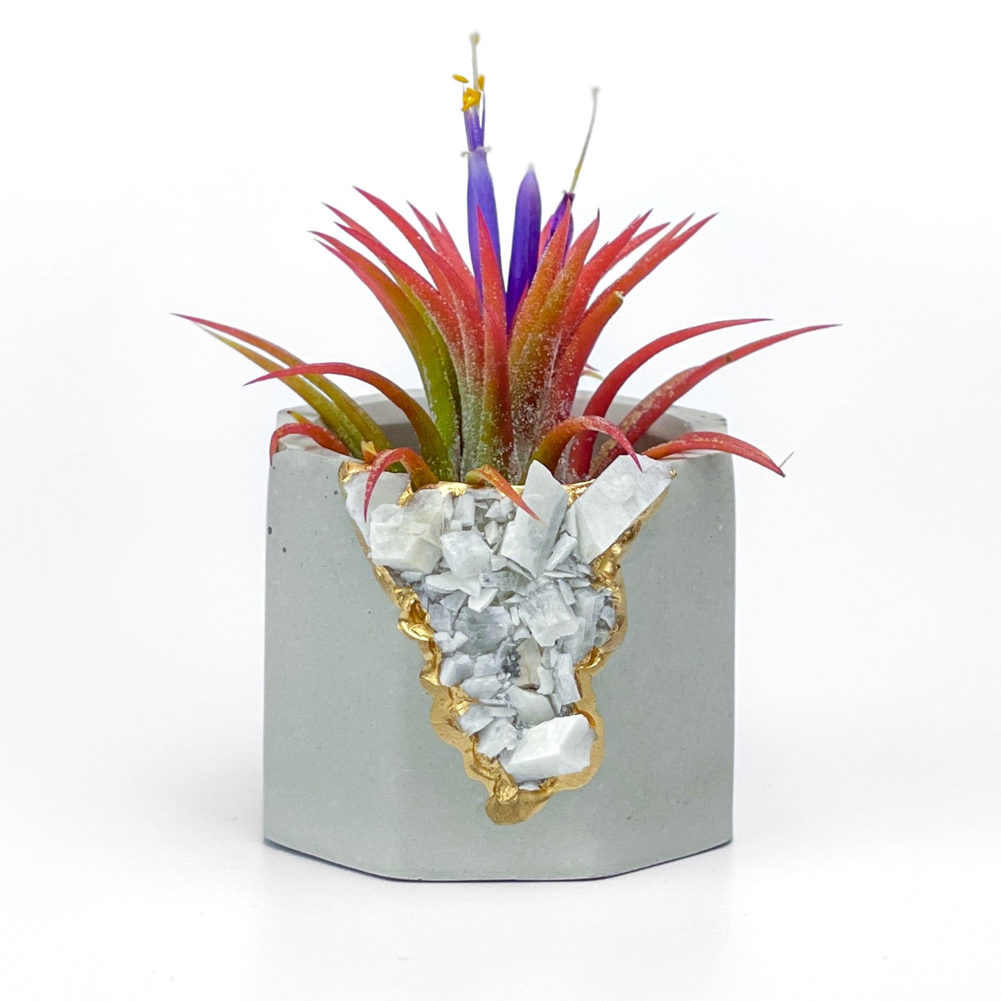 RAW MOONSTONE GEODE PLANTER - Concordia Style Boutique