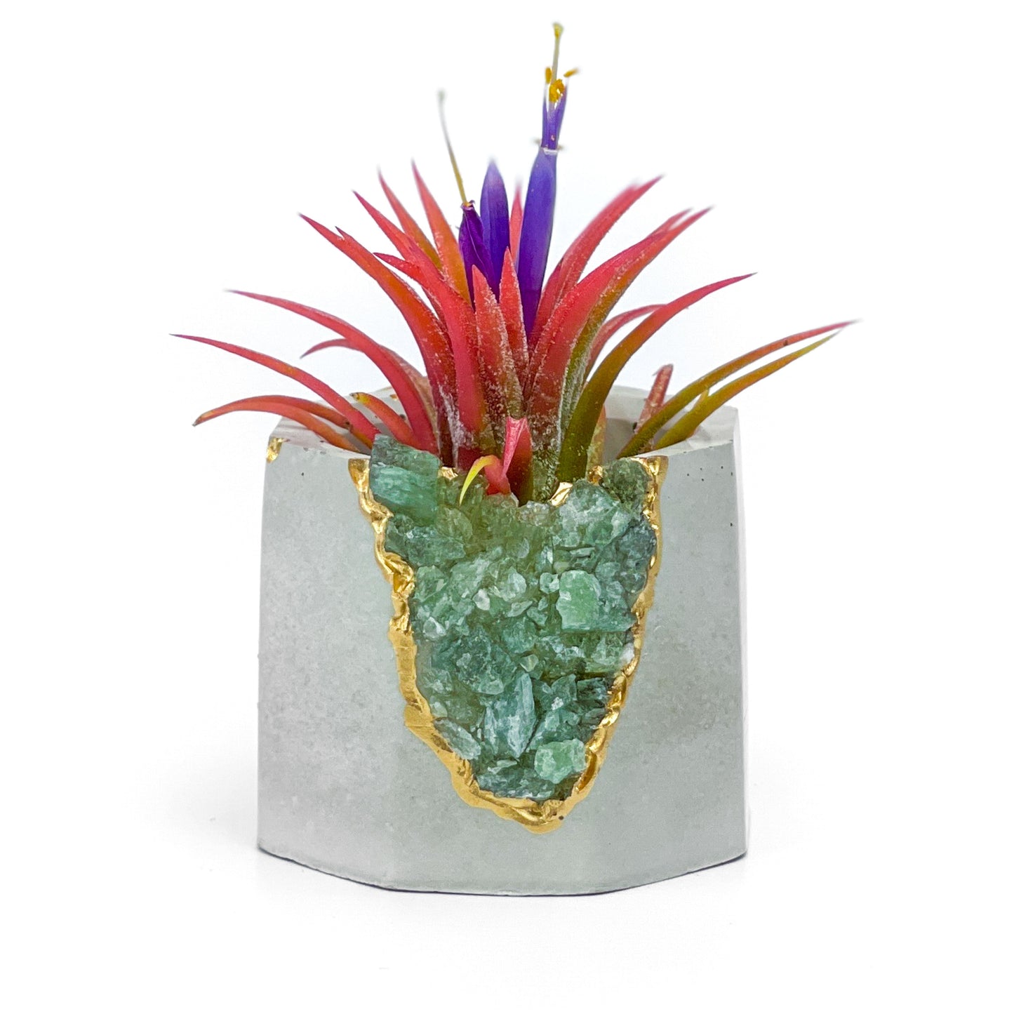 GREEN APATITE GEODE PLANTER - Concordia Style Boutique