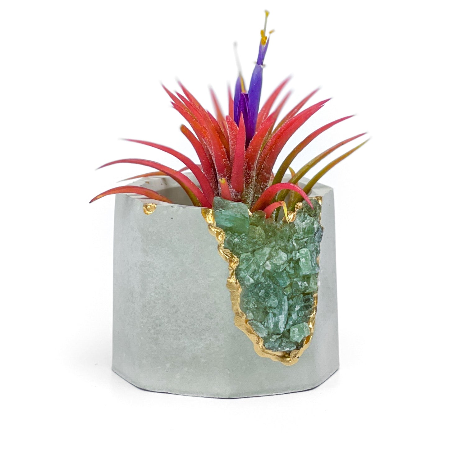 GREEN APATITE GEODE PLANTER - Concordia Style Boutique