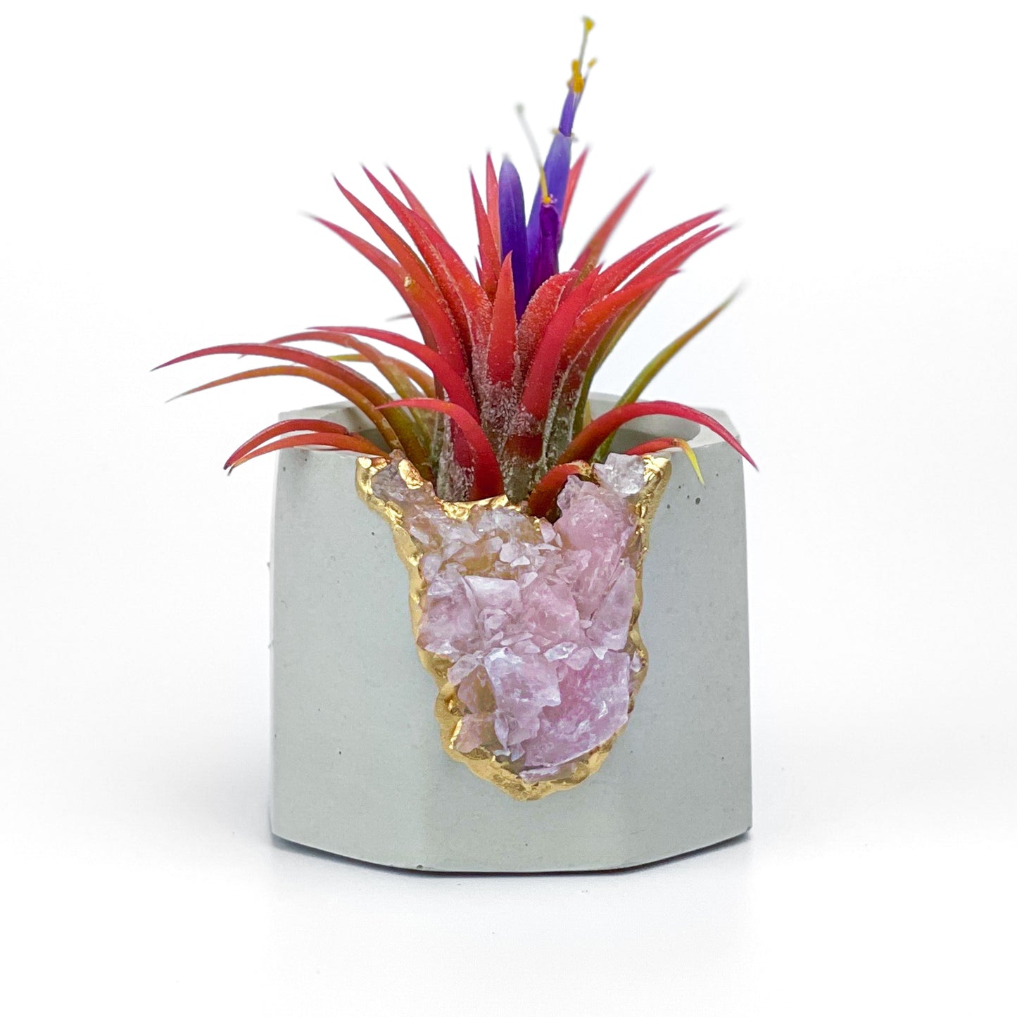 Raw ROSE QUARTZ GEODE PLANTER - Concordia Style Boutique
