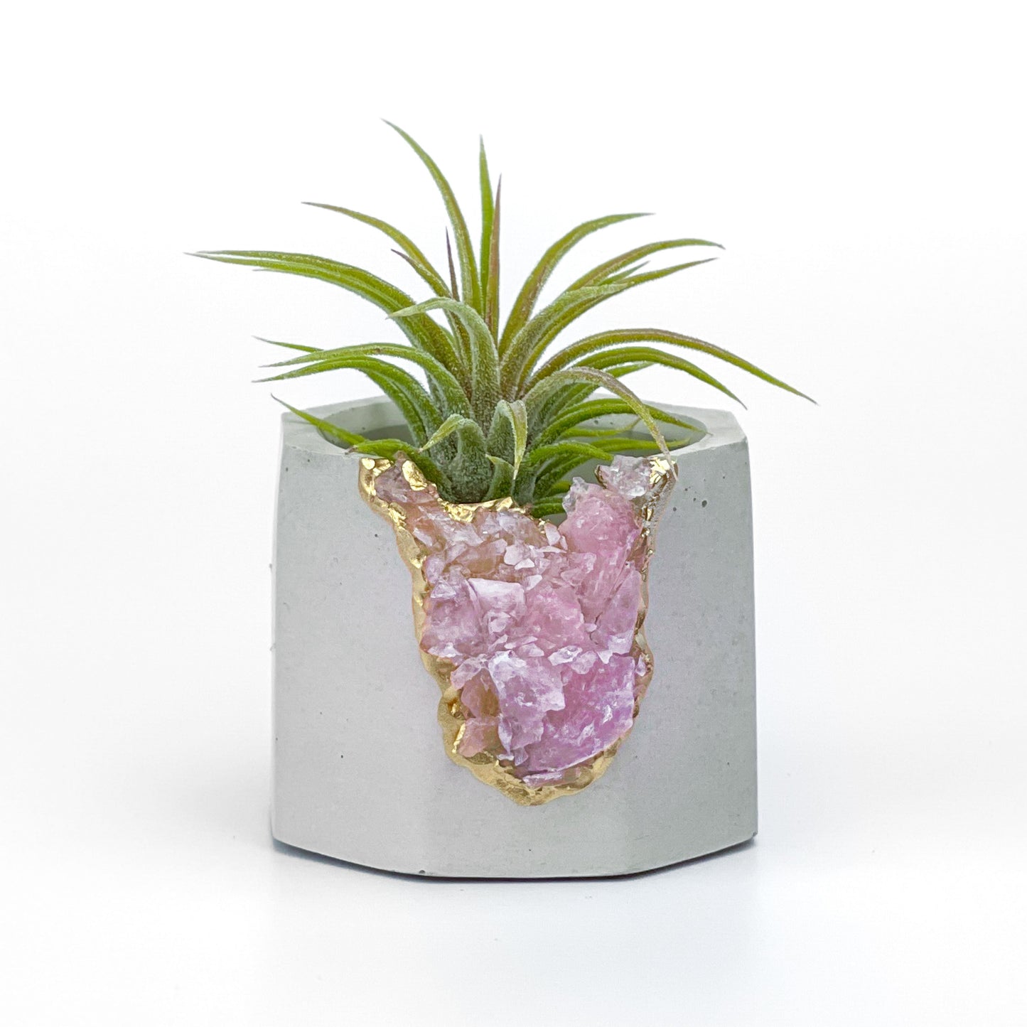 Raw ROSE QUARTZ GEODE PLANTER - Concordia Style Boutique