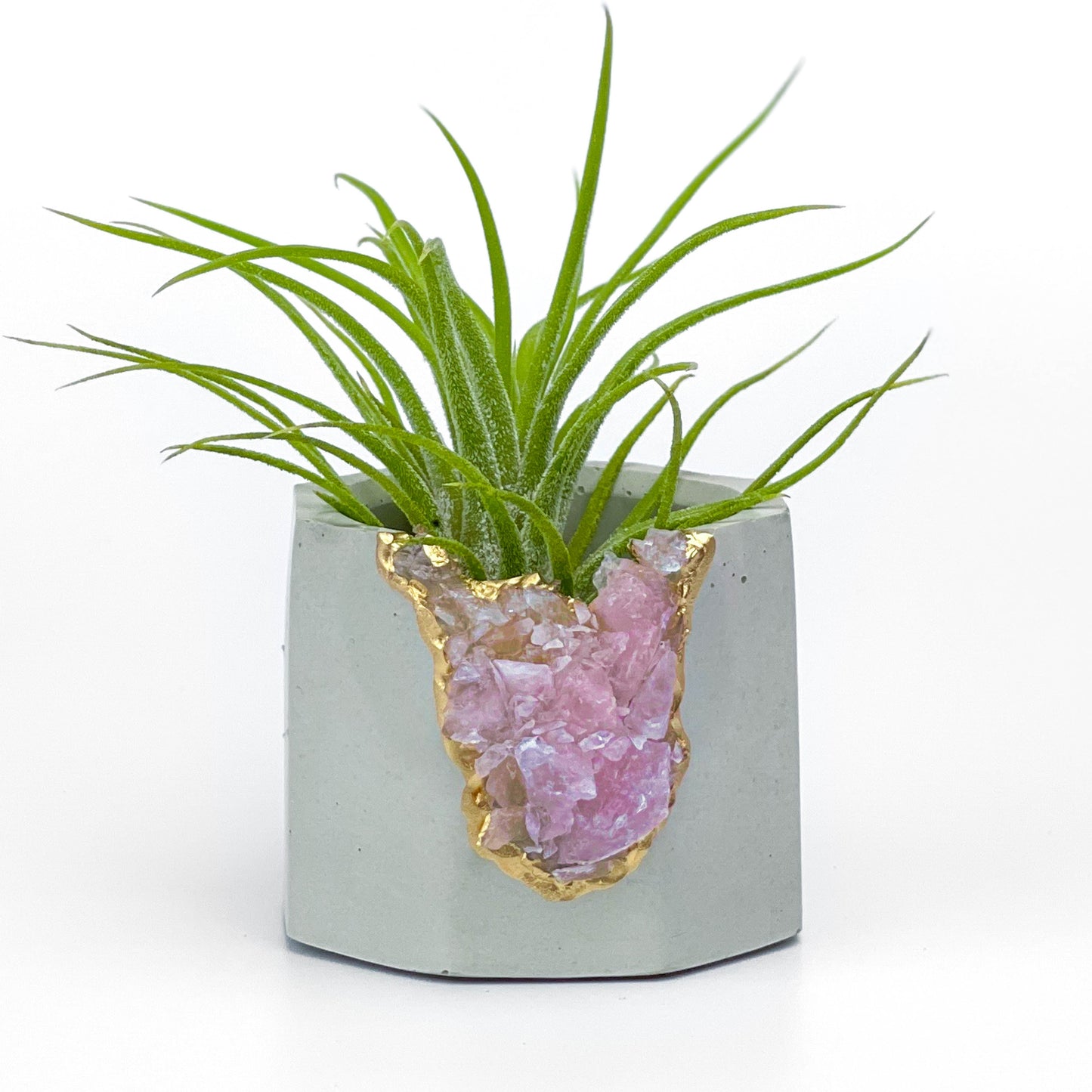 Raw ROSE QUARTZ GEODE PLANTER - Concordia Style Boutique