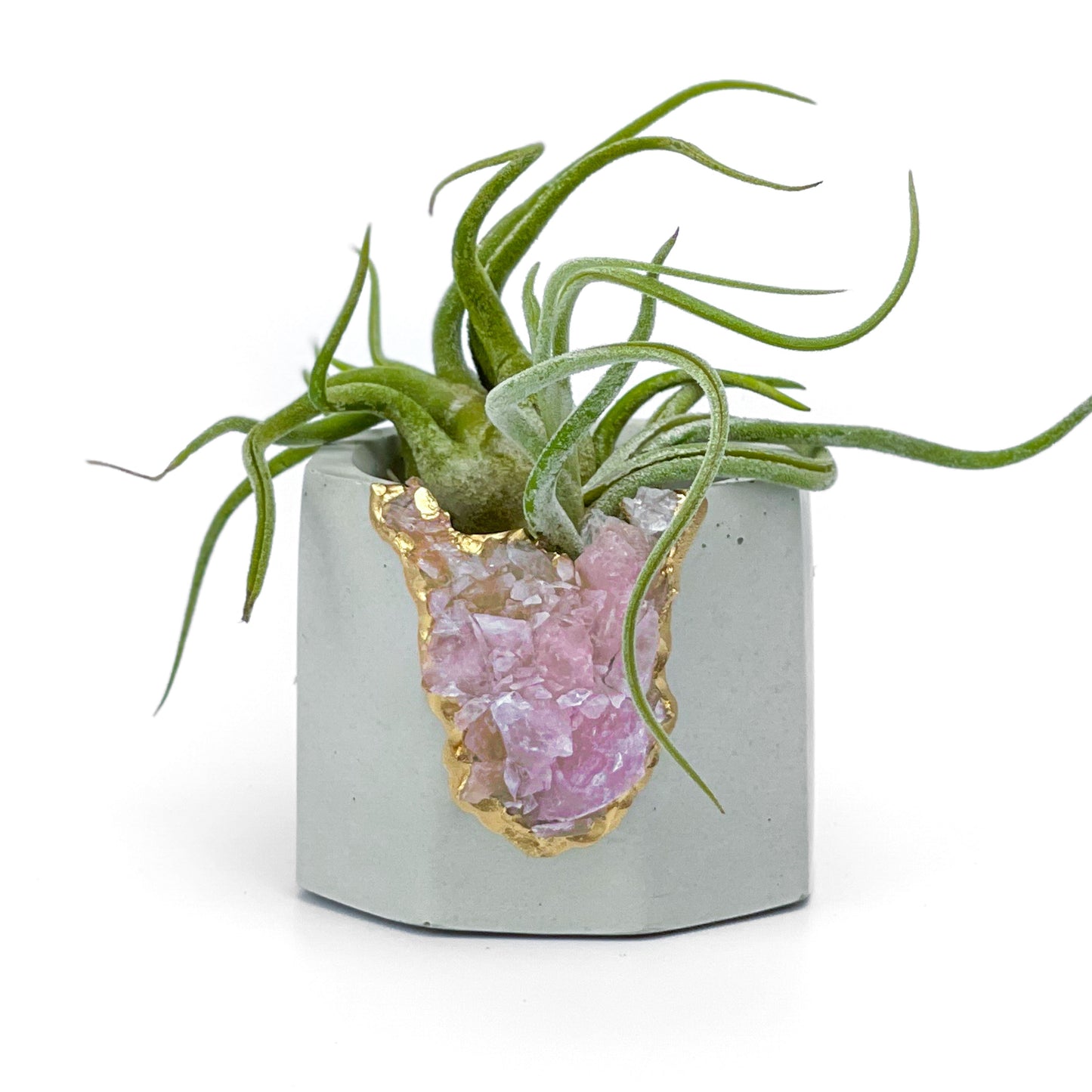Raw ROSE QUARTZ GEODE PLANTER - Concordia Style Boutique