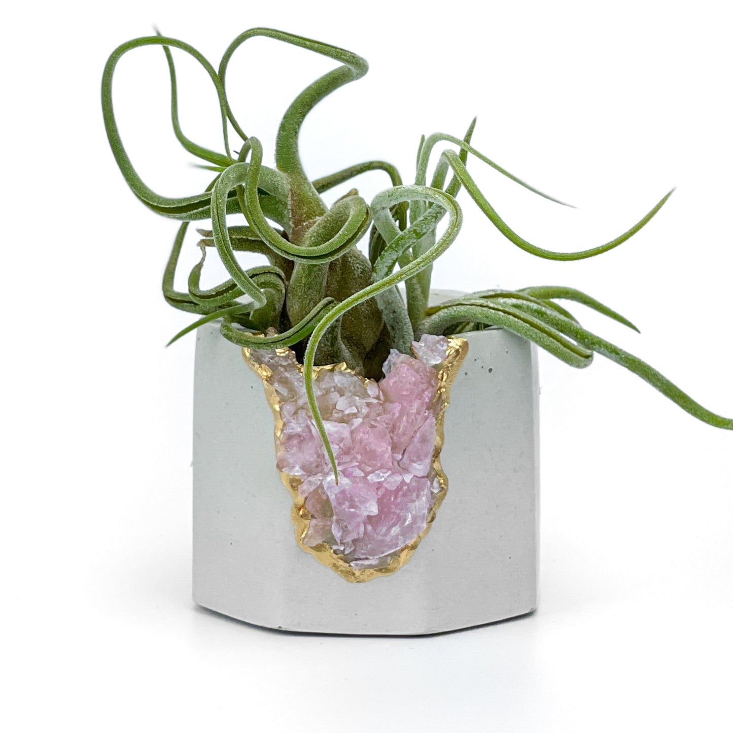 Raw ROSE QUARTZ GEODE PLANTER - Concordia Style Boutique