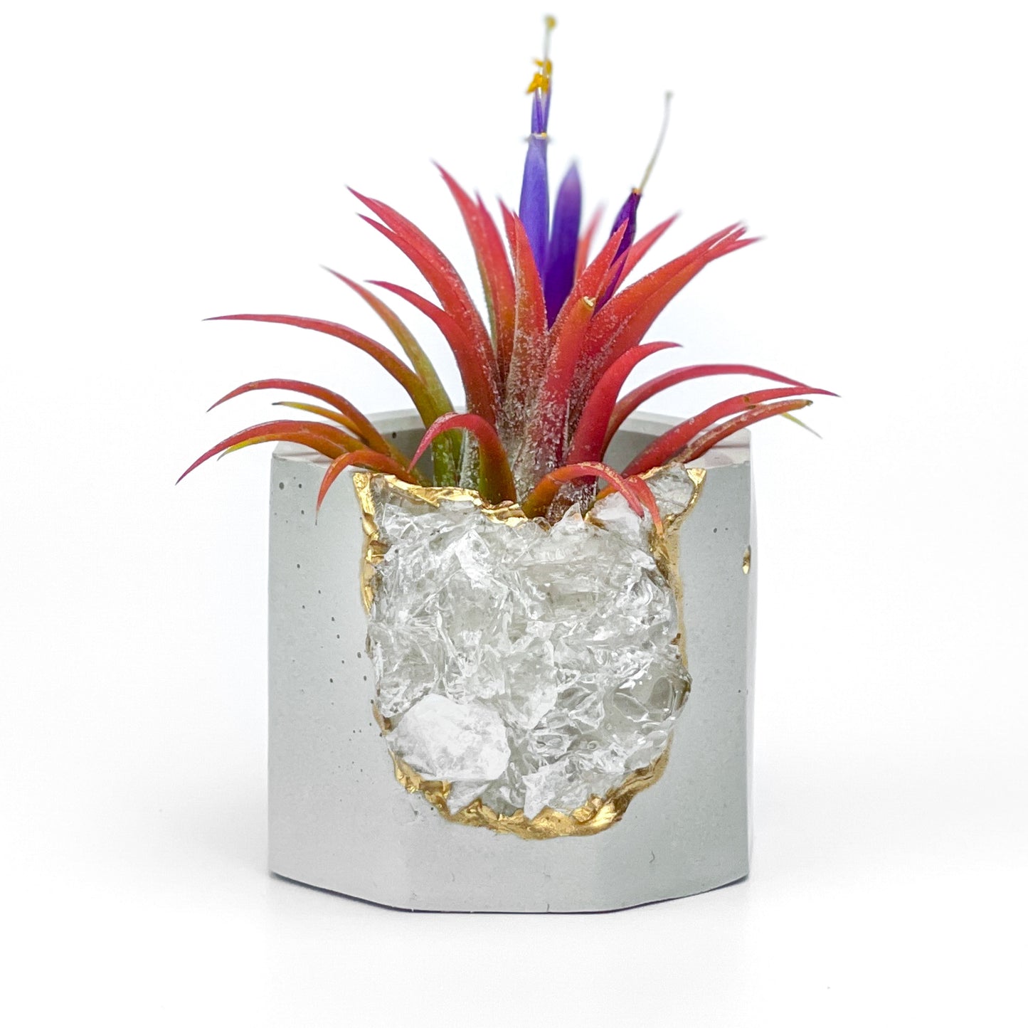 Raw CLEAR QUARTZ GEODE PLANTER - Concordia Style Boutique